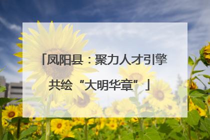 凤阳县：聚力人才引擎 共绘“大明华章”