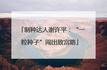 制种达人谢许平：“一粒种子”闯出致富路