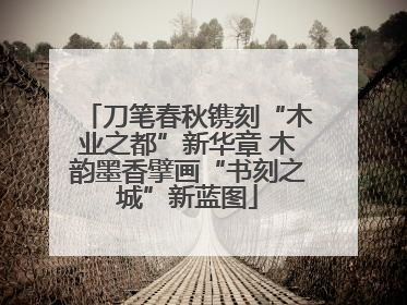 刀笔春秋镌刻“木业之都”新华章 木韵墨香擘画“书刻之城”新蓝图