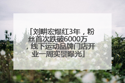 刘畊宏爆红3年，粉丝首次跌破6000万，线下运动品牌门店开业一周实景曝光