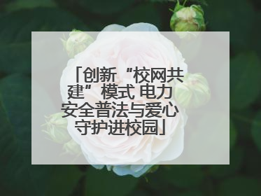 创新“校网共建”模式 电力安全普法与爱心守护进校园