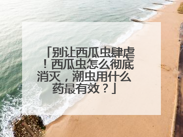 别让西瓜虫肆虐！西瓜虫怎么彻底消灭，潮虫用什么药最有效？