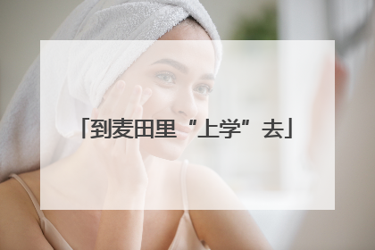 到麦田里“上学”去
