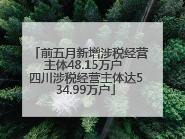 前五月新增涉税经营主体48.15万户 四川涉税经营主体达534.99万户