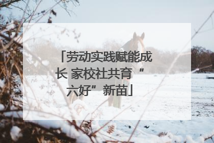 劳动实践赋能成长 家校社共育“六好”新苗