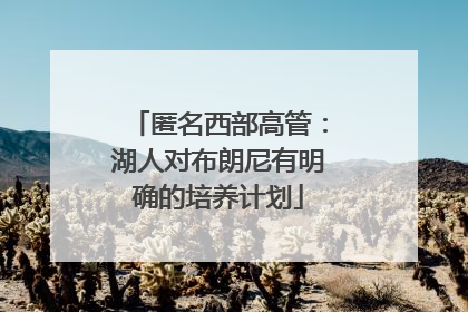 匿名西部高管：湖人对布朗尼有明确的培养计划