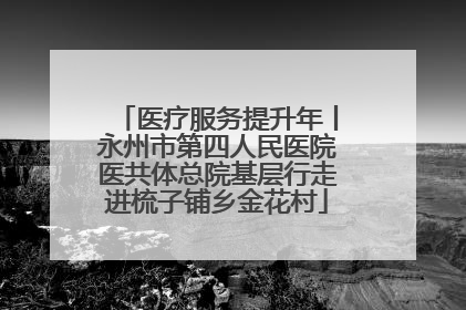 医疗服务提升年丨永州市第四人民医院医共体总院基层行走进梳子铺乡金花村