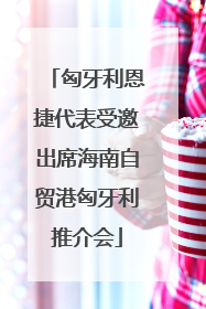 匈牙利恩捷代表受邀出席海南自贸港匈牙利推介会