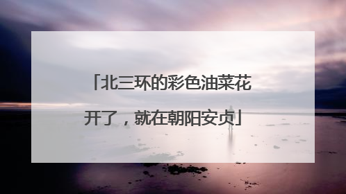北三环的彩色油菜花开了，就在朝阳安贞