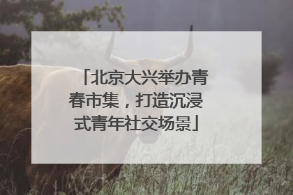 北京大兴举办青春市集，打造沉浸式青年社交场景
