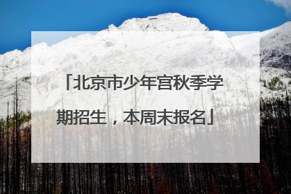 北京市少年宫秋季学期招生，本周末报名