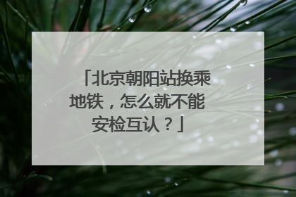 北京朝阳站换乘地铁，怎么就不能安检互认？