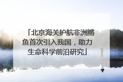 北京海关护航非洲鳉鱼首次引入我国，助力生命科学前沿研究
