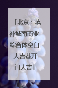 北京：填补城南商业综合体空白 大吉巷开门大吉