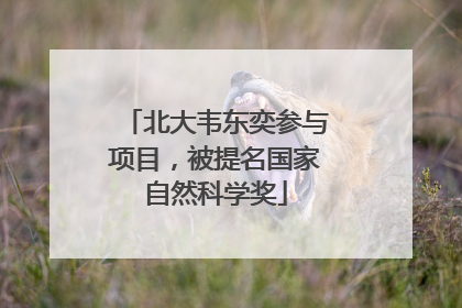 北大韦东奕参与项目，被提名国家自然科学奖