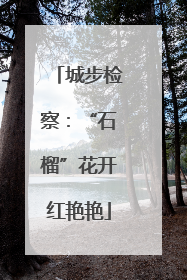 城步检察：“石榴”花开红艳艳