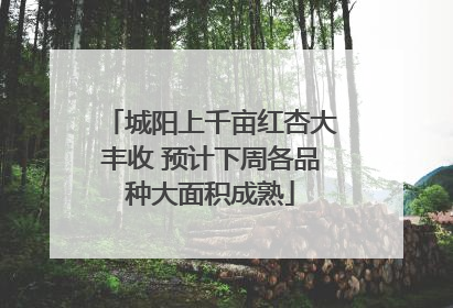 城阳上千亩红杏大丰收 预计下周各品种大面积成熟