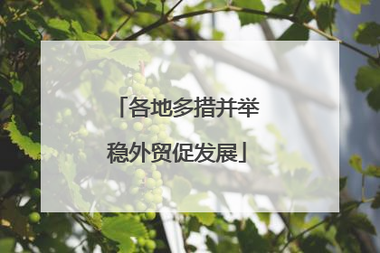 各地多措并举稳外贸促发展