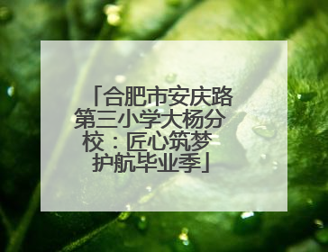 合肥市安庆路第三小学大杨分校：匠心筑梦 护航毕业季