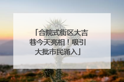 合院式街区大吉巷今天亮相！吸引大批市民涌入