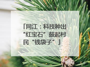 同江：科技种出“红宝石”鼓起村民“钱袋子”