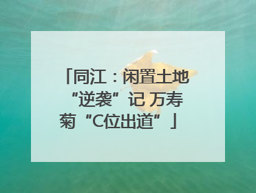 同江：闲置土地“逆袭”记 万寿菊“C位出道”