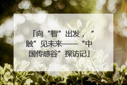 向“智”出发，“触”见未来——“中国传感谷”探访记