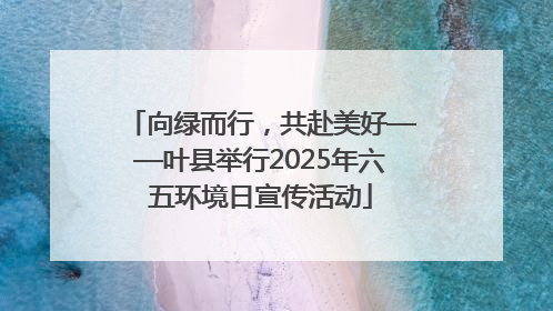 向绿而行，共赴美好——叶县举行2025年六五环境日宣传活动