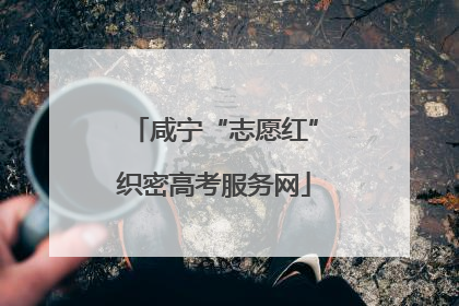 咸宁“志愿红”织密高考服务网