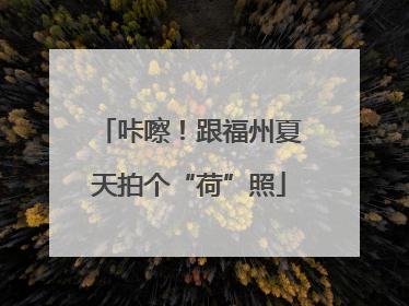 咔嚓！跟福州夏天拍个“荷”照