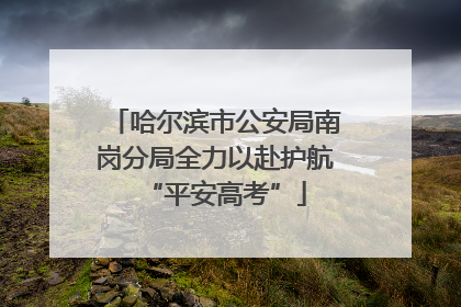 哈尔滨市公安局南岗分局全力以赴护航“平安高考”