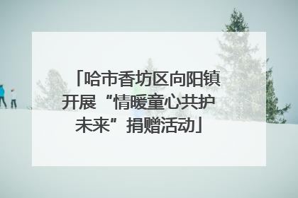 哈市香坊区向阳镇开展“情暖童心共护未来”捐赠活动