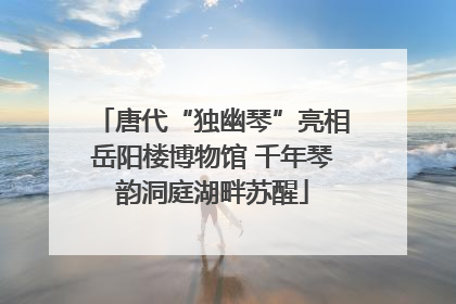 唐代“独幽琴”亮相岳阳楼博物馆 千年琴韵洞庭湖畔苏醒