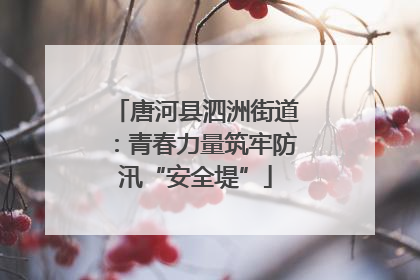 唐河县泗洲街道：青春力量筑牢防汛“安全堤”