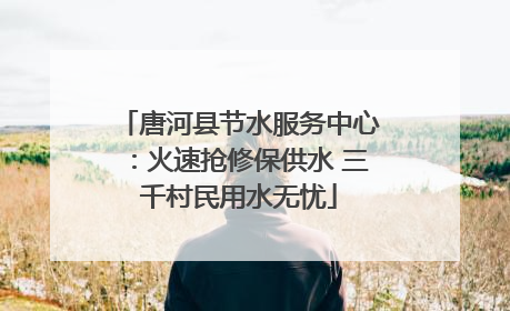 唐河县节水服务中心：火速抢修保供水 三千村民用水无忧