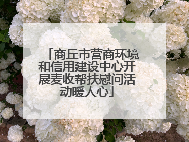 商丘市营商环境和信用建设中心开展麦收帮扶慰问活动暖人心