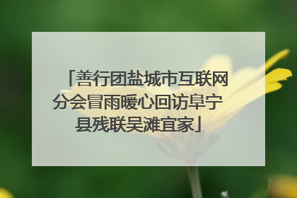 善行团盐城市互联网分会冒雨暖心回访阜宁县残联吴滩宜家