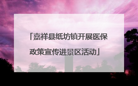嘉祥县纸坊镇开展医保政策宣传进景区活动