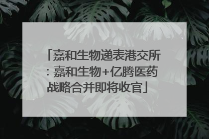 嘉和生物递表港交所：嘉和生物+亿腾医药战略合并即将收官
