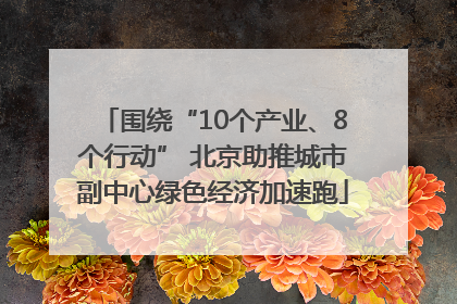 围绕“10个产业、8个行动” 北京助推城市副中心绿色经济加速跑