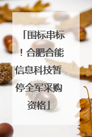 围标串标！合肥合能信息科技暂停全军采购资格