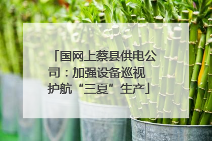 国网上蔡县供电公司：加强设备巡视 护航“三夏”生产