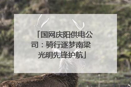 国网庆阳供电公司：骑行逐梦南梁 光明先锋护航