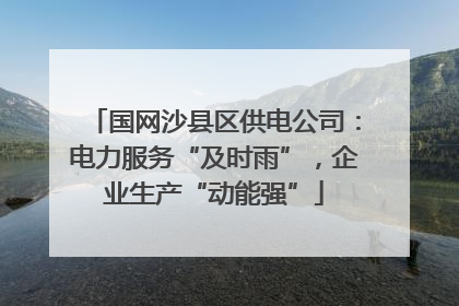 国网沙县区供电公司：电力服务“及时雨”，企业生产“动能强”