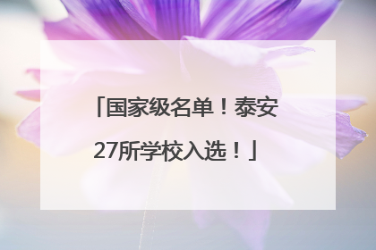 国家级名单！泰安27所学校入选！