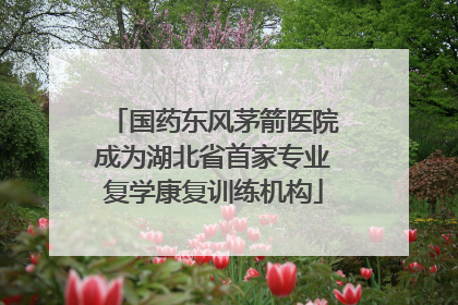 国药东风茅箭医院成为湖北省首家专业复学康复训练机构