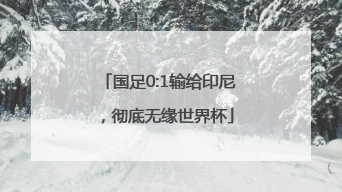 国足0:1输给印尼，彻底无缘世界杯
