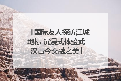 国际友人探访江城地标 沉浸式体验武汉古今交融之美