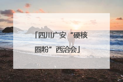 四川广安“硬核圈粉”西洽会