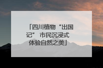 四川植物“出国记” 市民沉浸式体验自然之美